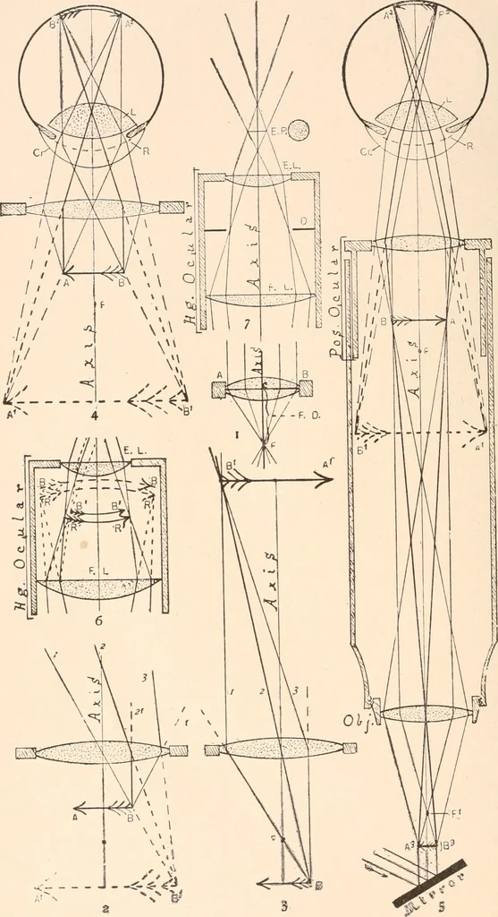 An illustration from The microscope and histology for the use of laboratory students in the anatomical department of Cornell University. by Simon Henry Gage, 1891, leaf 15