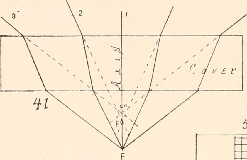 An illustration from The microscope and histology for the use of laboratory students in the anatomical department of Cornell University. by Simon Henry Gage, 1891, leaf 163