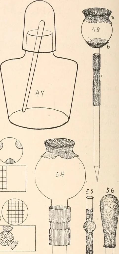 An illustration from The microscope and histology for the use of laboratory students in the anatomical department of Cornell University. by Simon Henry Gage, 1891, leaf 163