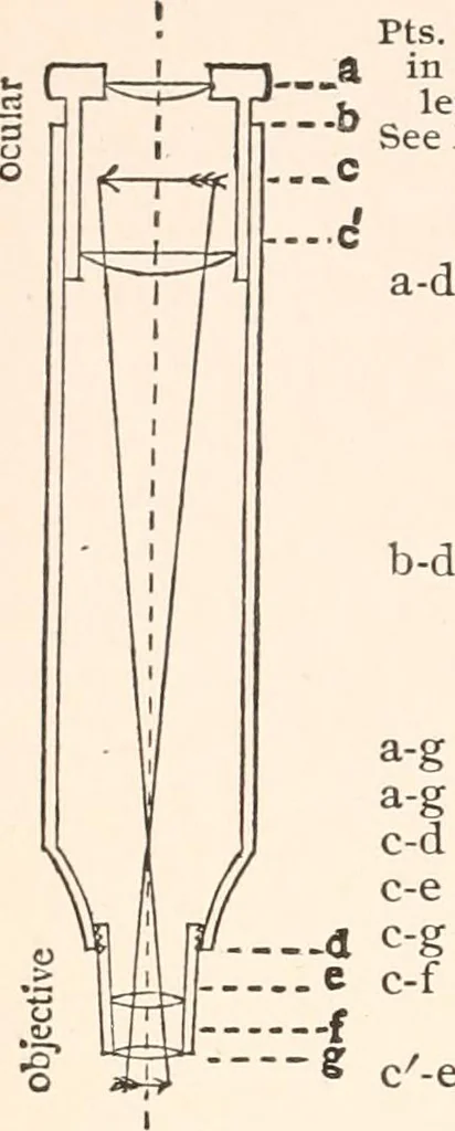 An illustration from The microscope and histology for the use of laboratory students in the anatomical department of Cornell University. by Simon Henry Gage, 1891, leaf 31
