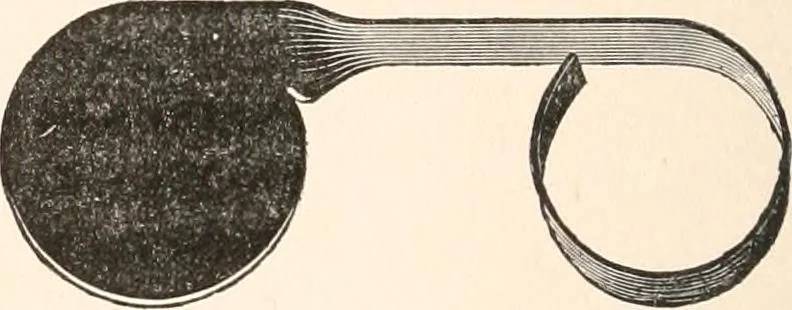 An illustration from The microscope and histology for the use of laboratory students in the anatomical department of Cornell University. by Simon Henry Gage, 1891, leaf 73