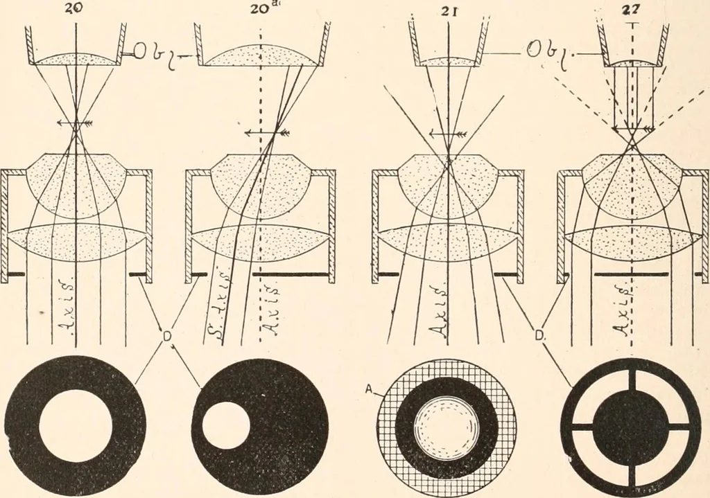 An illustration from The microscope and histology for the use of laboratory students in the anatomical department of Cornell University. by Simon Henry Gage, 1891, leaf 79