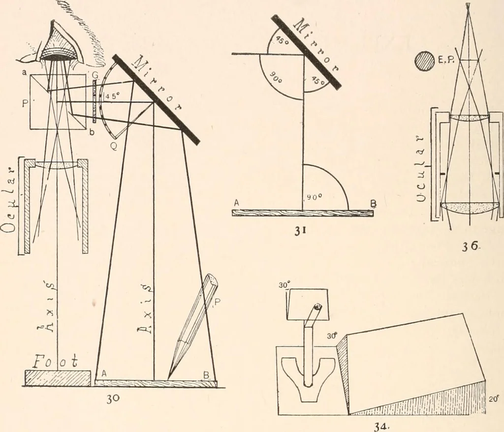 An illustration from The microscope and histology for the use of laboratory students in the anatomical department of Cornell University. by Simon Henry Gage, 1891, leaf 97