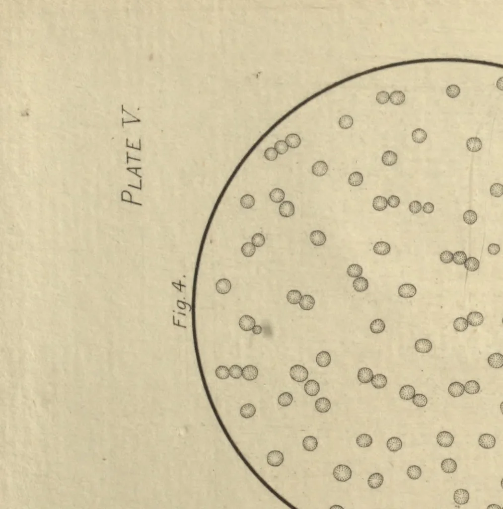 An illustration from The microscope in the brewery and malt-house, 1889, leaf 88