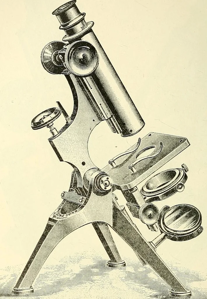 An illustration from The microscope; an introduction to microscopic methods and to histology, 1901, leaf 101
