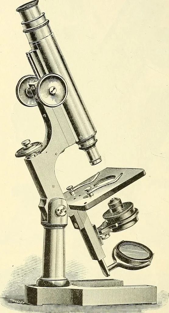 An illustration from The microscope; an introduction to microscopic methods and to histology, 1901, leaf 103