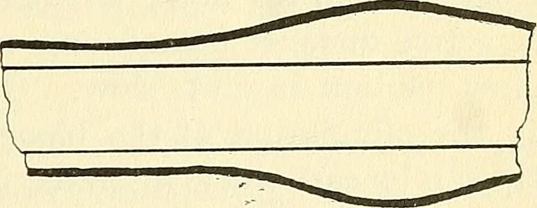 An illustration from The microscope; an introduction to microscopic methods and to histology, 1901, leaf 112