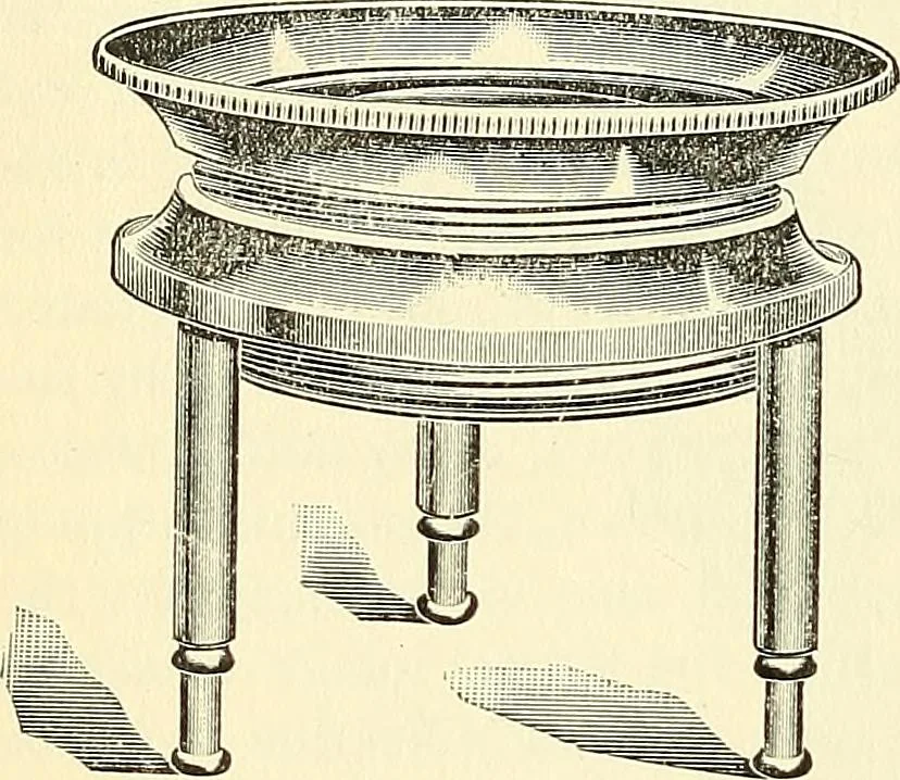 An illustration from The microscope; an introduction to microscopic methods and to histology, 1901, leaf 119