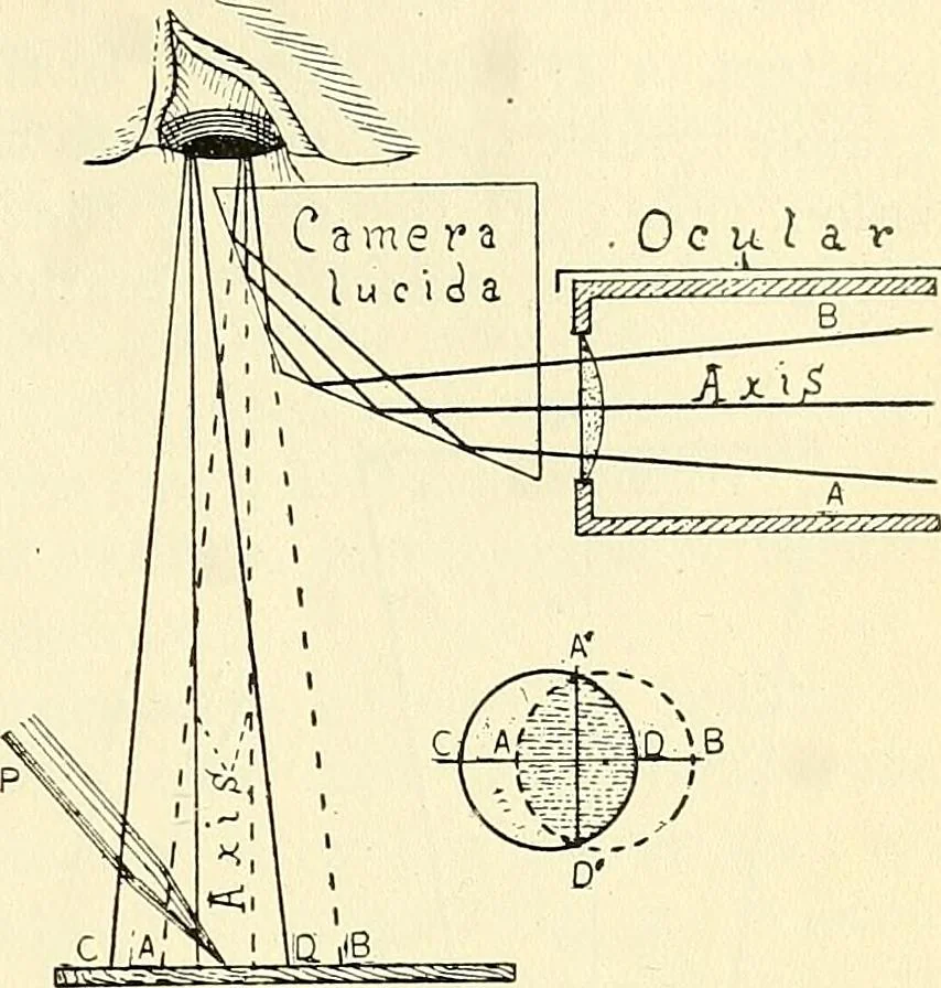 An illustration from The microscope; an introduction to microscopic methods and to histology, 1901, leaf 122
