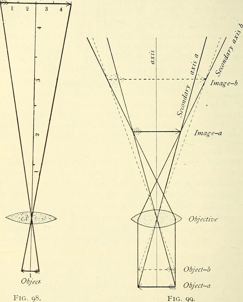 An illustration from The microscope; an introduction to microscopic methods and to histology, 1901, leaf 123