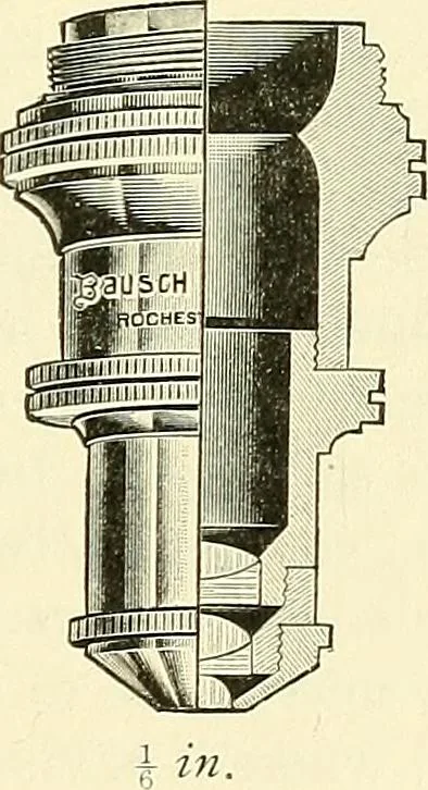An illustration from The microscope; an introduction to microscopic methods and to histology, 1901, leaf 136