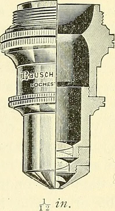 An illustration from The microscope; an introduction to microscopic methods and to histology, 1901, leaf 136