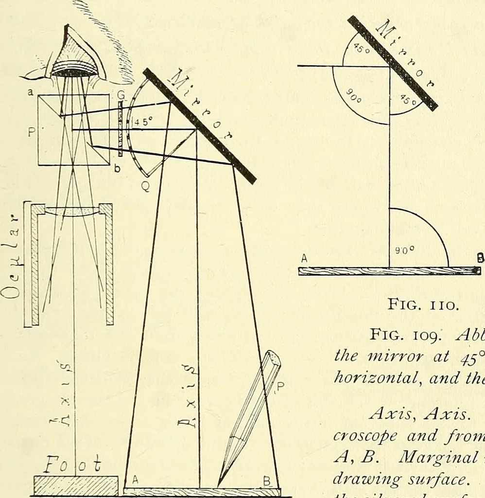 An illustration from The microscope; an introduction to microscopic methods and to histology, 1901, leaf 138