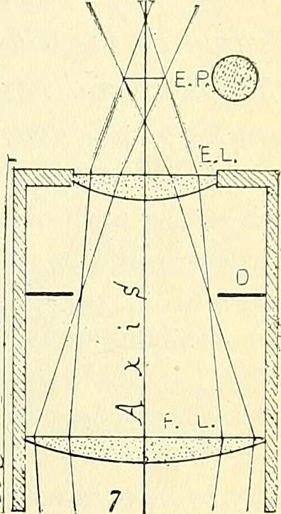 An illustration from The microscope; an introduction to microscopic methods and to histology, 1901, leaf 138