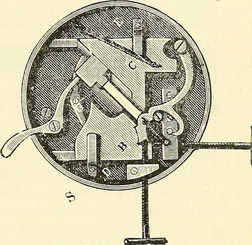 An illustration from The microscope; an introduction to microscopic methods and to histology, 1901, leaf 150