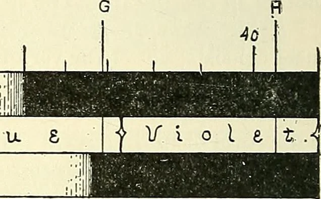 An illustration from The microscope; an introduction to microscopic methods and to histology, 1901, leaf 153