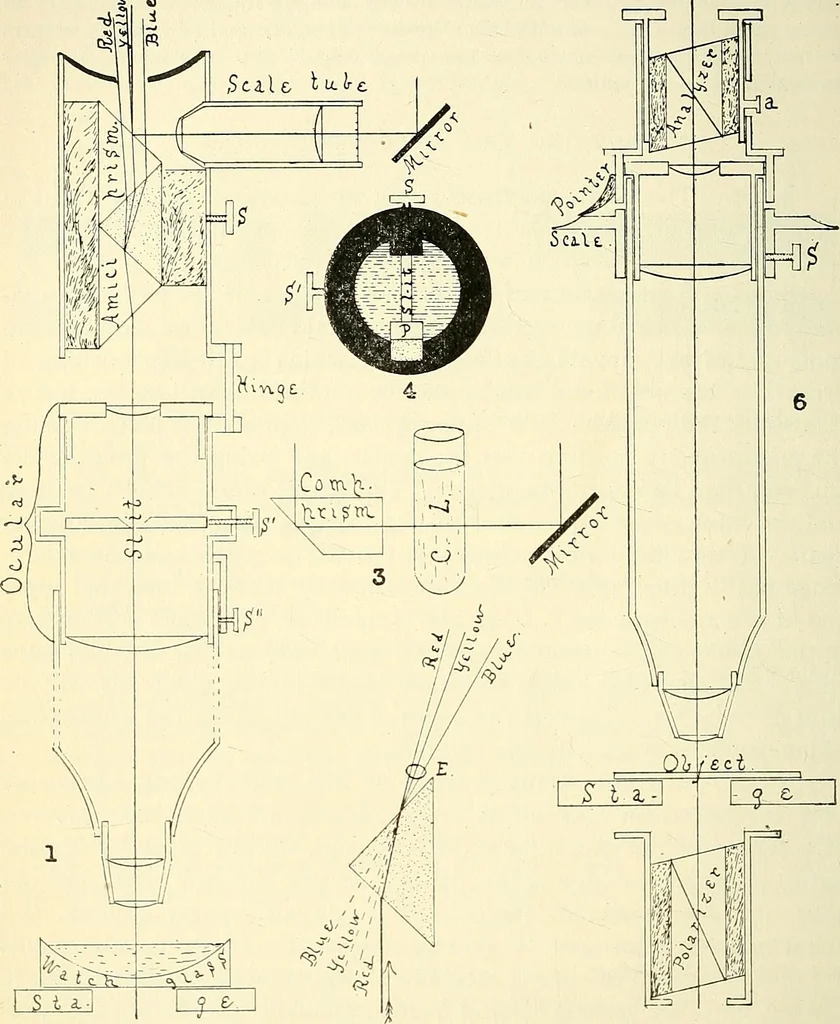 An illustration from The microscope; an introduction to microscopic methods and to histology, 1901, leaf 155