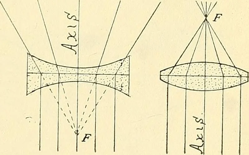 An illustration from The microscope; an introduction to microscopic methods and to histology, 1901, leaf 16