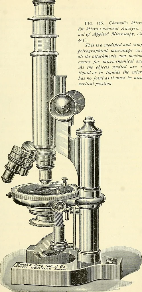 An illustration from The microscope; an introduction to microscopic methods and to histology, 1901, leaf 168