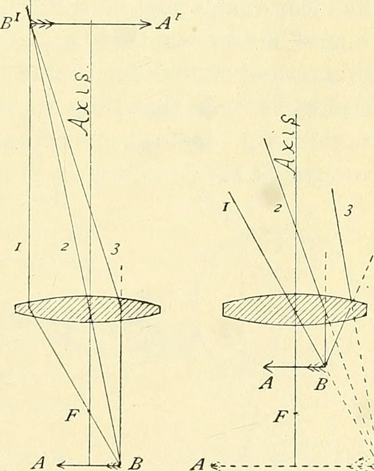 An illustration from The microscope; an introduction to microscopic methods and to histology, 1901, leaf 18