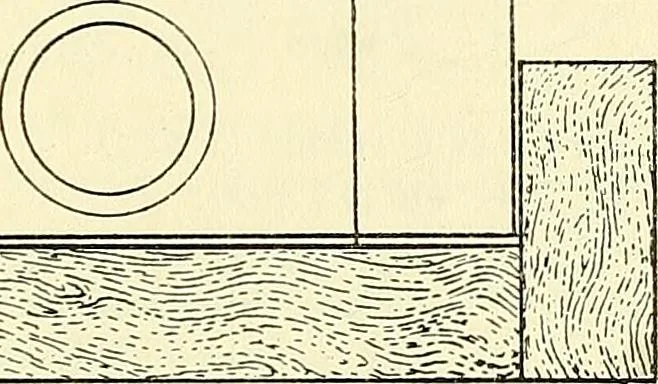 An illustration from The microscope; an introduction to microscopic methods and to histology, 1901, leaf 184