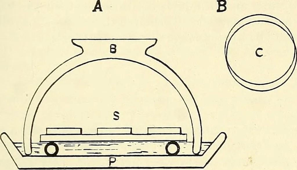 An illustration from The microscope; an introduction to microscopic methods and to histology, 1901, leaf 186