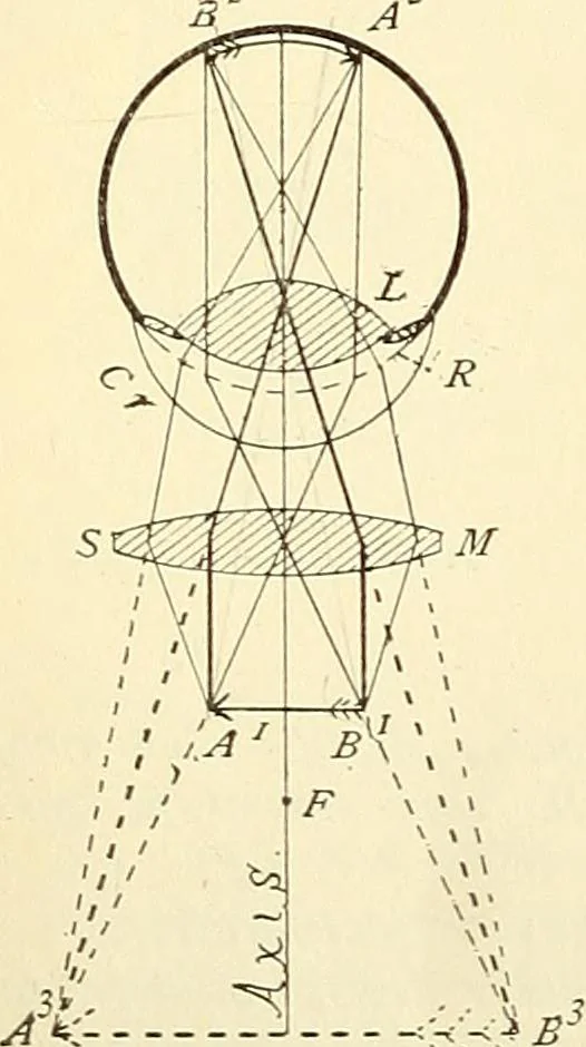 An illustration from The microscope; an introduction to microscopic methods and to histology, 1901, leaf 19