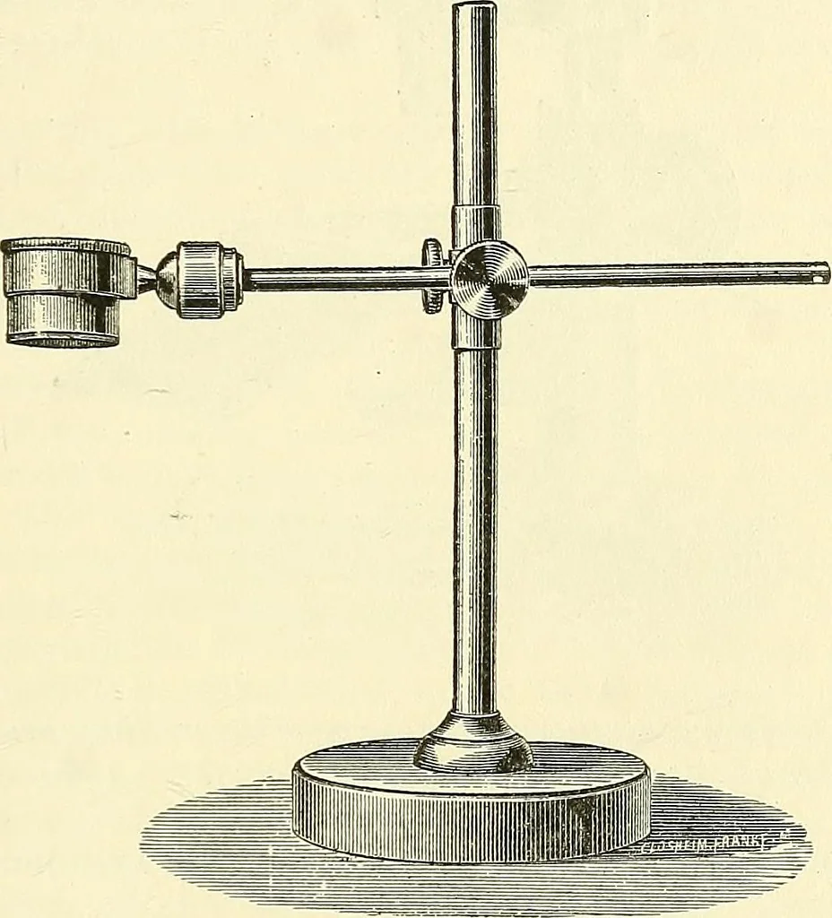 An illustration from The microscope; an introduction to microscopic methods and to histology, 1901, leaf 190