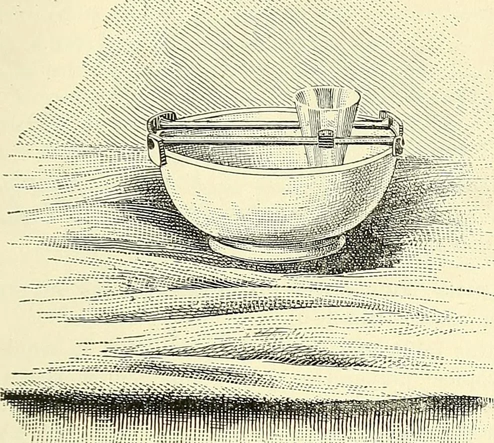 An illustration from The microscope; an introduction to microscopic methods and to histology, 1901, leaf 196