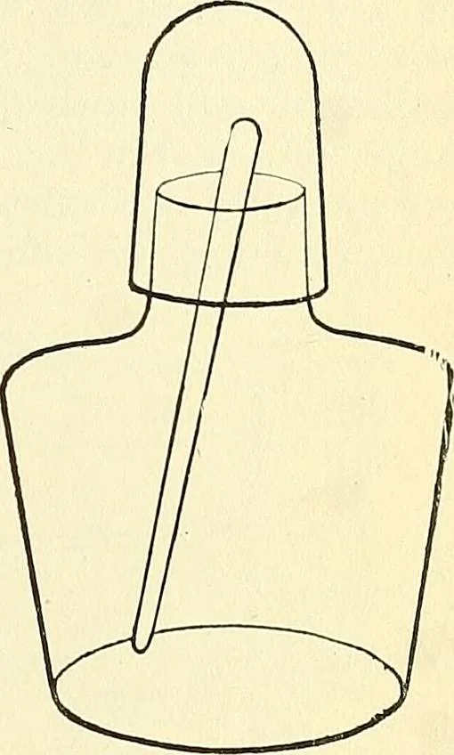 An illustration from The microscope; an introduction to microscopic methods and to histology, 1901, leaf 198