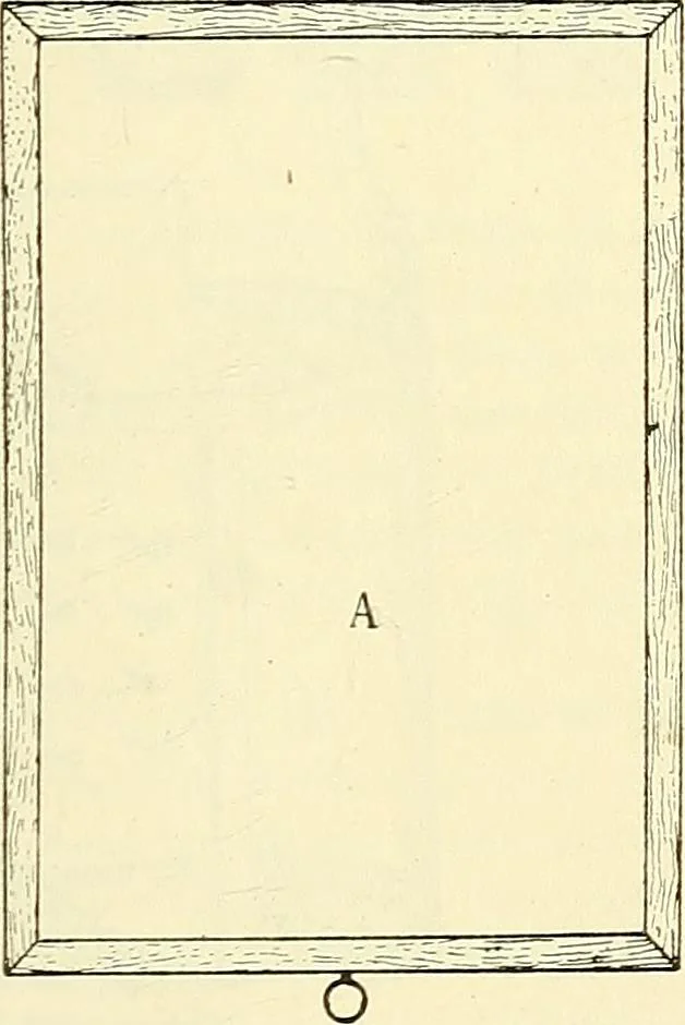 An illustration from The microscope; an introduction to microscopic methods and to histology, 1901, leaf 202