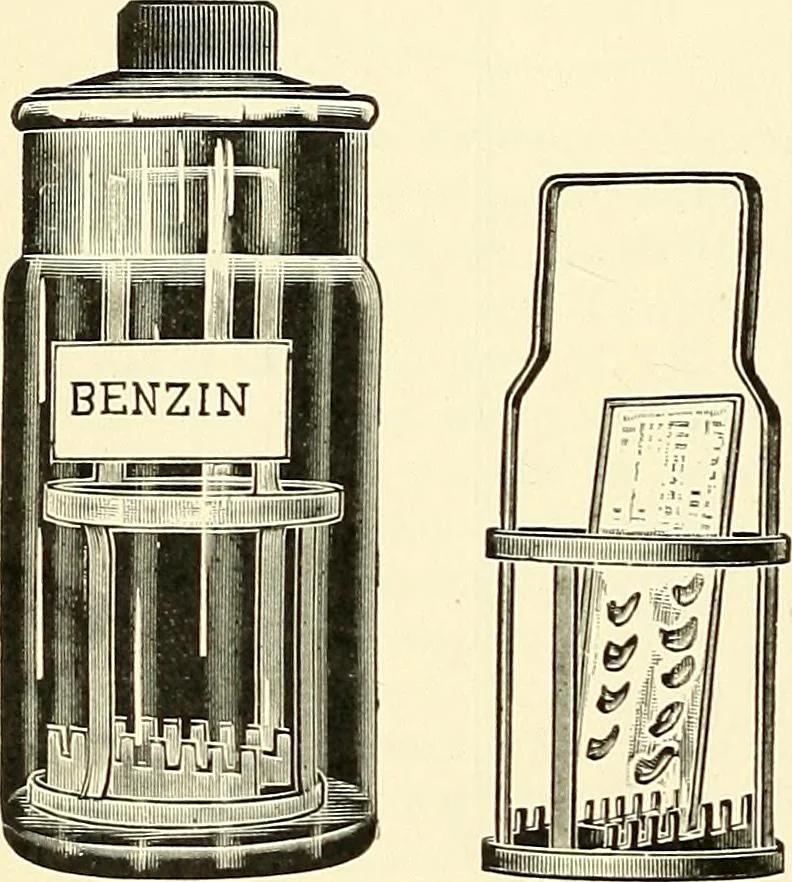 An illustration from The microscope; an introduction to microscopic methods and to histology, 1901, leaf 203