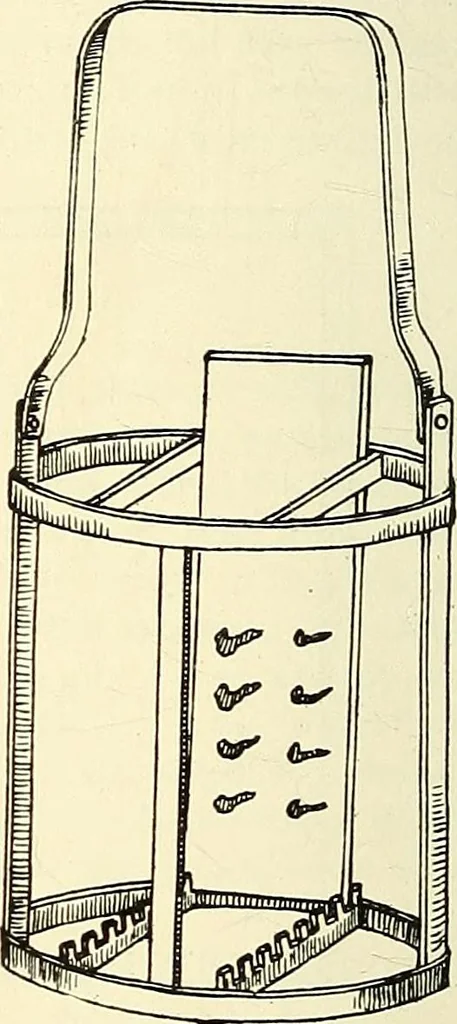 An illustration from The microscope; an introduction to microscopic methods and to histology, 1901, leaf 203