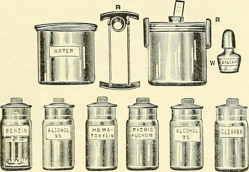 An illustration from The microscope; an introduction to microscopic methods and to histology, 1901, leaf 204
