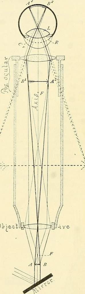 An illustration from The microscope; an introduction to microscopic methods and to histology, 1901, leaf 22