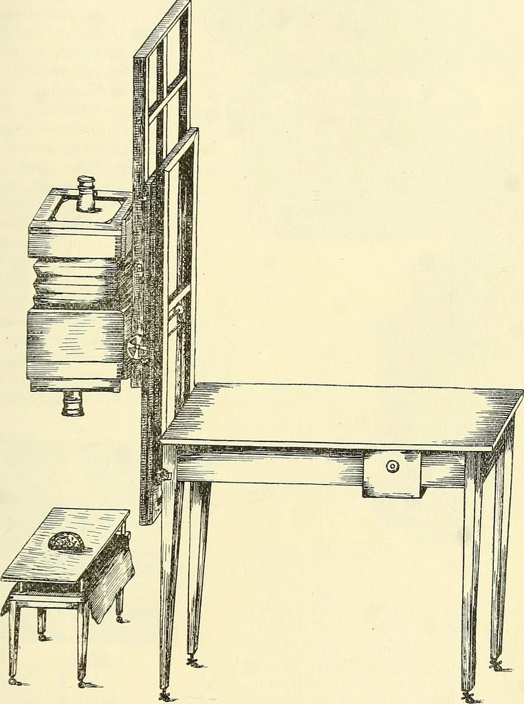 An illustration from The microscope; an introduction to microscopic methods and to histology, 1901, leaf 222
