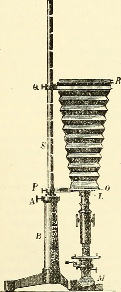 An illustration from The microscope; an introduction to microscopic methods and to histology, 1901, leaf 237