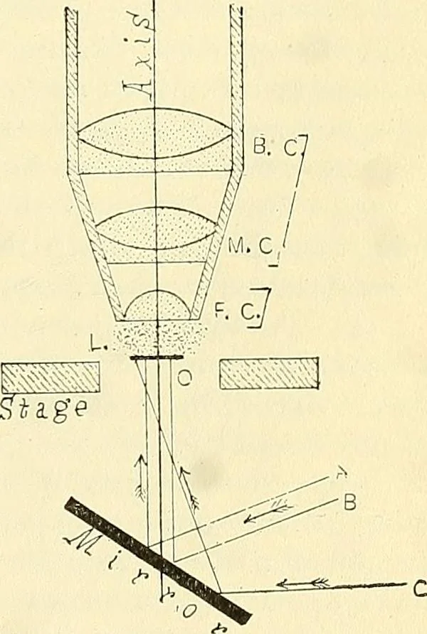 An illustration from The microscope; an introduction to microscopic methods and to histology, 1901, leaf 24