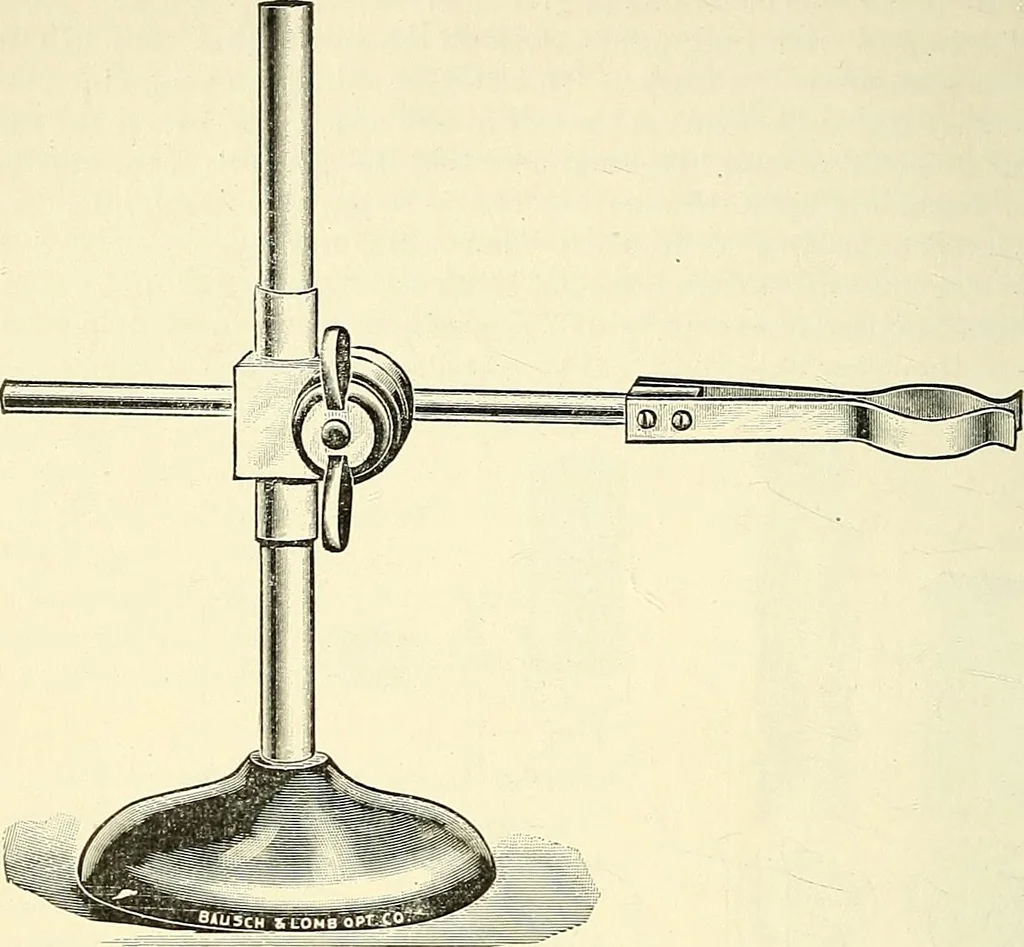 An illustration from The microscope; an introduction to microscopic methods and to histology, 1901, leaf 243