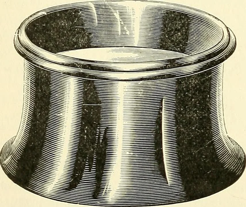 An illustration from The microscope; an introduction to microscopic methods and to histology, 1901, leaf 243