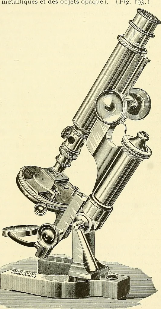 An illustration from The microscope; an introduction to microscopic methods and to histology, 1901, leaf 254