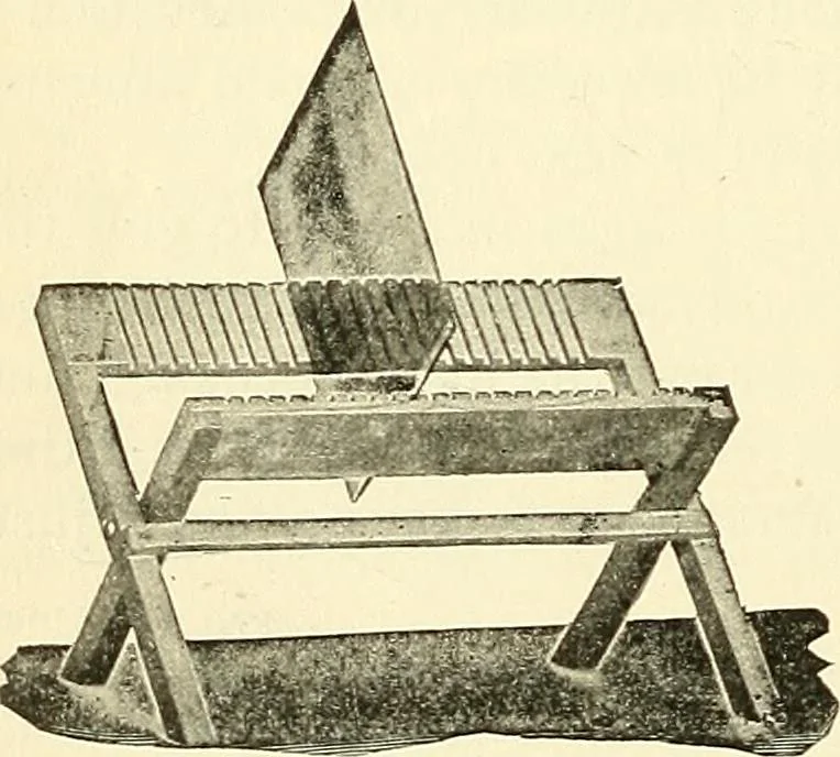 An illustration from The microscope; an introduction to microscopic methods and to histology, 1901, leaf 257