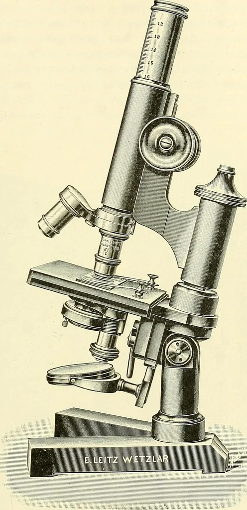 An illustration from The microscope; an introduction to microscopic methods and to histology, 1901, leaf 262