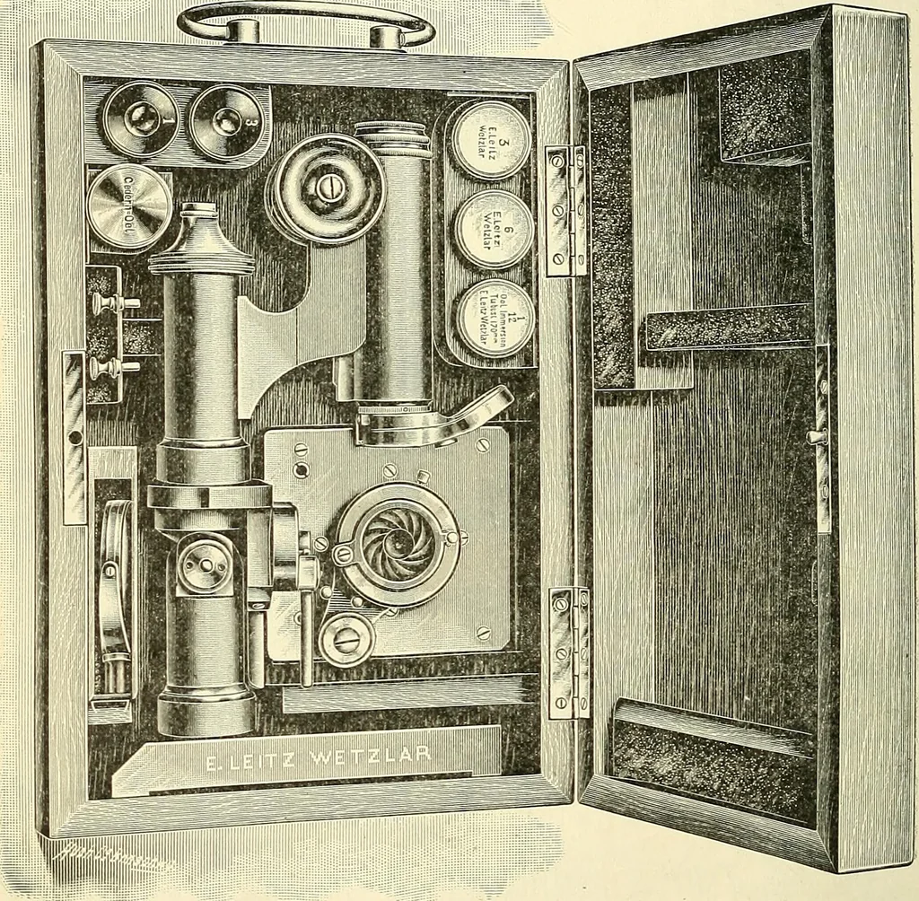 An illustration from The microscope; an introduction to microscopic methods and to histology, 1901, leaf 263