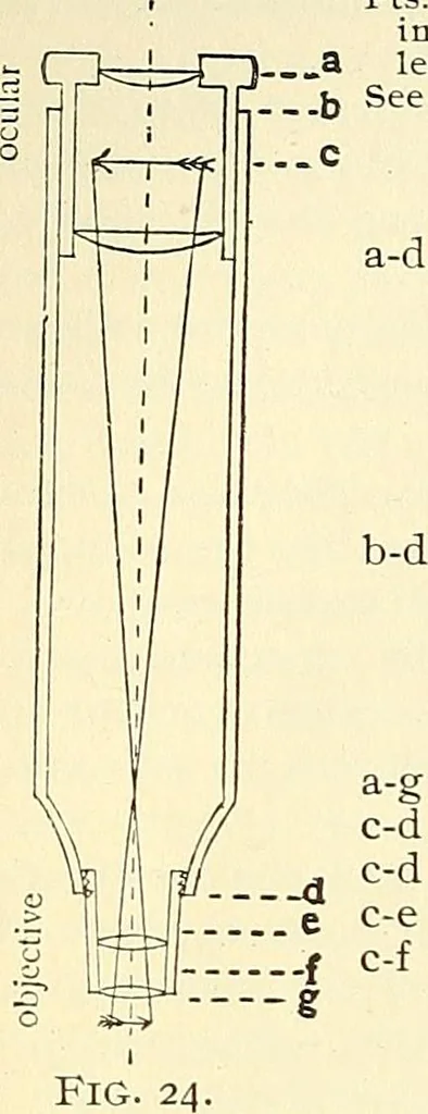 An illustration from The microscope; an introduction to microscopic methods and to histology, 1901, leaf 27