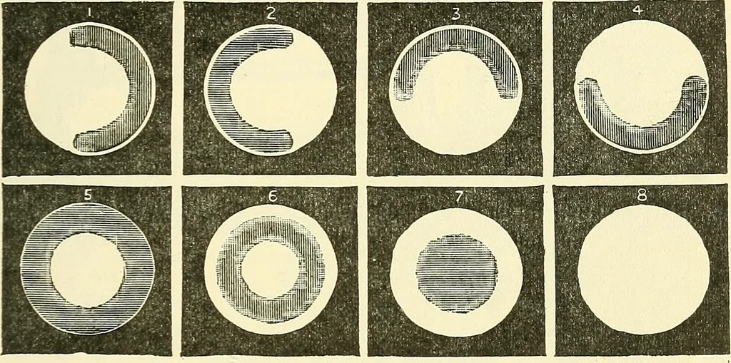 An illustration from The microscope; an introduction to microscopic methods and to histology, 1901, leaf 272