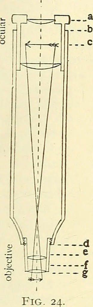 An illustration from The microscope; an introduction to microscopic methods and to histology, 1901, leaf 28