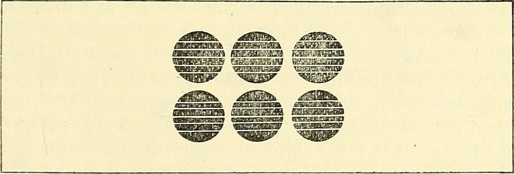 An illustration from The microscope; an introduction to microscopic methods and to histology, 1901, leaf 286