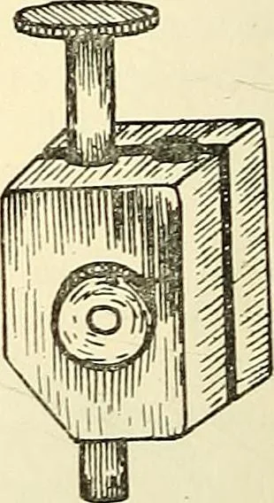 An illustration from The microscope; an introduction to microscopic methods and to histology, 1901, leaf 293