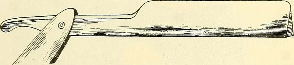An illustration from The microscope; an introduction to microscopic methods and to histology, 1901, leaf 294